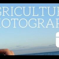 agricultural-photography-seni-fotografi-tentang-dunia-pertanian