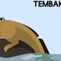 ikan-tembakul-si-lincah-nan-anggun