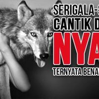 ternyata-serigala-cantik-dan-seksi-itu-benar-adanya-ini-info-dan-videonya-gan