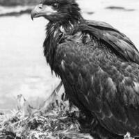 renunganyang-butuh-motivasi-ini-cara-menggapai-tujuan-masa-depan