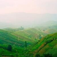 jalan-jalan-gan-majalengka-sampai-sumba-ini-rekomendasi-momod-kadalxburik