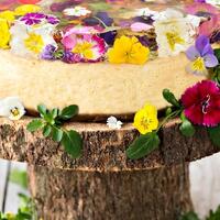 selain-cantik-dipandang-bunga-bunga-ini-juga-enak-dimakan-lho