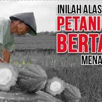 panen-cabe-pedas-nanam-pare-pahit-kenapa-petani-harus-bertahan