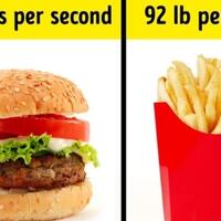 fakta-statistik-tentang-dunia-yang-mungkin-belum-pernah-kita-dengar