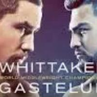 ufc-231-whittaker-vs-gastelum-duel-middleweight-penuh-respect