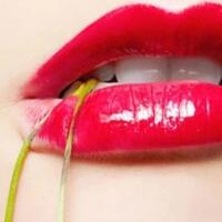 khusus-sista-4-langkah-mudah-membuat-lipstik-tahan-lama