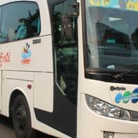 cockramat-djati-sebuah-cerita-bandung-lampung