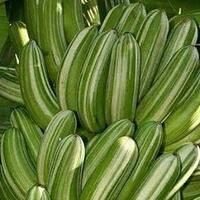 pisang-unik-cantik-dan-instagenik