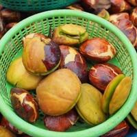 4-menu-olahan-jengkol-siapa-yang-nggak-suka-sih