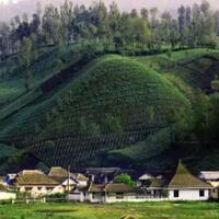 ranu-pani---salah-satu-desa-tertinggi-di-indonesia