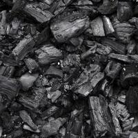 charcoal-si-hitam-yang-bikin-putih