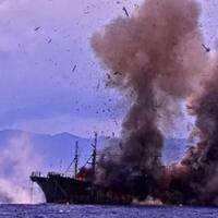 sejarah-andrey-dolgov-yang-10-tahun-maling-ikan-dan-dibekuk-di-ri