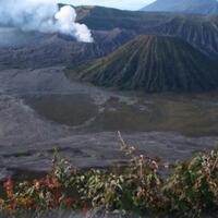 gunung-bromo-erupsi-wisatawan-dilarang-mendekat-di-radius-1-km