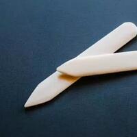 yuk-bikin-bone-folder-sendiri-dari-limbah-tulang-sapi