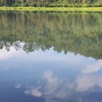 bersih-bersih-sungai-citarum-dari-tahun-2000-hingga-hasilnya-kini