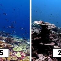 tempat-wisata-yang-telah-rusak-dan-hilang-karena-perbuatan-kita-sendiri