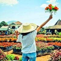 6-wisata-lembang-yang-wajib-dikunjungi-tahun-2019