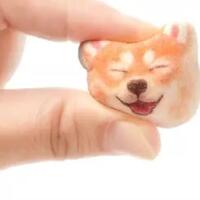 terlalu-gemes-marshmallow-shiba-inu-ini-bikin-nggak-tega-makannya