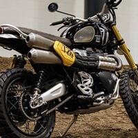 bergaya-scrambler-triumph-luncurkan-produk-terbaru-seharga-fortuner-srz