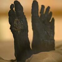 pemakan-dosa-hingga-pembuka-gulungan-mumi-ini-5-pekerjaan-aneh-di-inggris-abad-ke-19