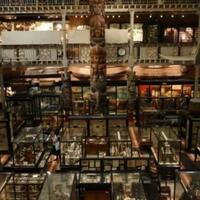 fakta-menarik-museum-pitt-rivers-yang-mengoleksi-jenazah-manusia-berani-uji-nyali