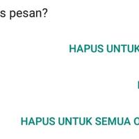 tanpa-aplikasi-tambahancara-menghapus-pesan-terkirim-yang-sudah-lebih-dari-7-menit