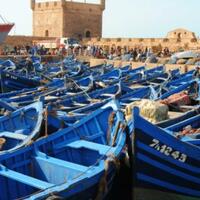 share-yang-seru-untuk-dilihat-di-essaouira