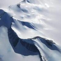 ada-makhluk-menyeramkan-hingga-ancam-hidup-manusia-ini-4-fakta-unik-antartika