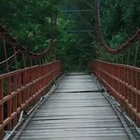 hutan-tinjomoyo-hutan-dengan-cerita-mistis-di-dalamnya