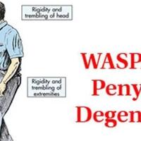 mengenal-penyakit-degeneratif-beban-dunia-kesehatan-indonesia