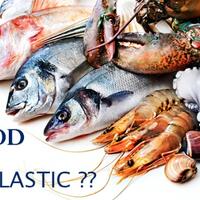 seafood-tekontaminasi-mikroplastik-salah-siapa