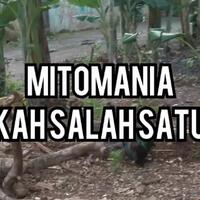 mitomania-andakah-salah-satunya