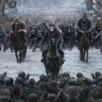 mampukah-intelejensia-binatang-berkembang