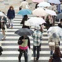 perusahaan-asal-jepang-ini-bikin-aplikasi-penyewaan-payung