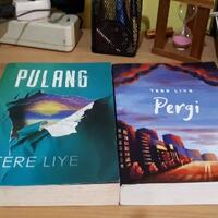 review-novel-karya-tere-liye-yang-berjudul-pulang-dan-pergi
