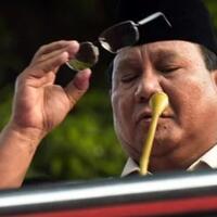 asisten-pribadi-sebut-prabowo-bisa-bicara-dengan-nyamuk-dan-semut