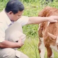 mungkinkah-manusia-bisa--berkomunikasi--dengan-hewan