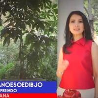 kepopuleran-mars-perindo-tak-mampu-angkat-performa-partai