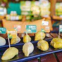surganya-durian-pencinta-durian-wajib-ke-sini