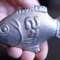 ikan-besi-ini-mampu-menyelamatkan-jutaan-manusia