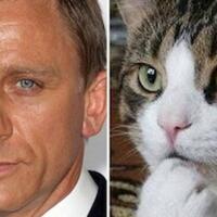bak-james-bond-hewan-ini-dijadikan-mata-mata-oleh-negaranya