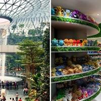 lihat-langsung-jewel-changi-airport-ada-air-terjun-indoor-tertinggi-di-dunia