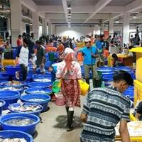 pasar-ikan-modern-muara-baru-tsukiji-market-nya-indonesia-nih