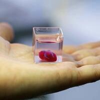 amazing-ilmuwan-berhasil-menciptakan-jantung-3d-dari-sel-manusia