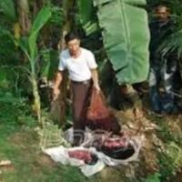 kenapa-kasus-mutilasi-semakin-marak-saja
