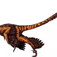 30-dinosaurus-paling-unik-yg-pernah-ditemukan-versi-ane