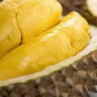 pembenci-durian-vs-penyuka-durian-kubu-yang-manakah-kamu