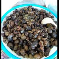 keong-pedas-manis-sekali-nyoba-sulit-move-on