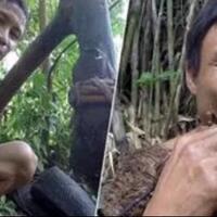41-tahun-tinggal-di-hutan-ayah-dan-anak-ini-hidup-bak-tarzan