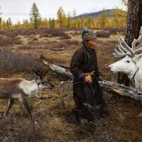 5-pekerjaan-unik-yang-bergaji-besar-salah-satunya-pengumpul-urin-rusa